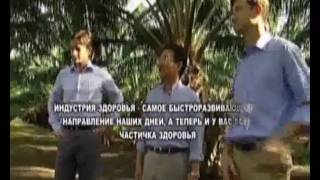 Красное масло "Злата Пальма". Откуда оно и за что его ценят во всем мире?