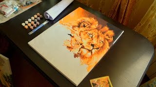 Красивая картина по номерам с Aliexpress Львы.  Видеообзор