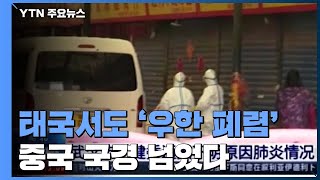 '우한 폐렴' 중국 국경 넘어 태국서 확인...WHO 바짝 긴장 / YTN