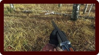 18+ Лучшие выстрелы 2018 года!!! Трофейные кадры!!!