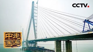 《走遍中国》系列片《飞架天险-逆境制胜》石首长江大桥如何飞架天险 逆境制胜？20190717 | CCTV中文国际