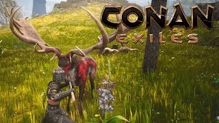 Conan Exiles Добудьте голову существа босса