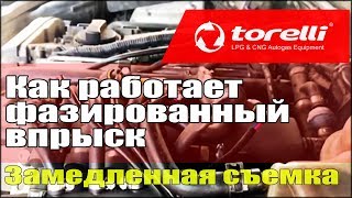 Как работает фазированный впрыск [СТО Milano Ukraine]