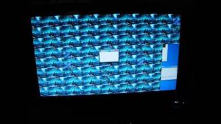 Wow Multiboxing (64 accounts)