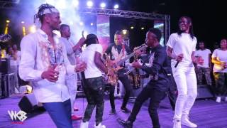 Diamond Platnumz - Live Performance at ZIMBABWE PART 3 ( WATORA MALI CONCERT )