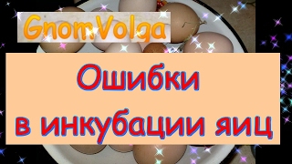 Ошибки в инкубации яиц // помощь в инкубации Гном Волга / субтитры