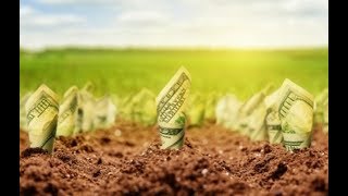 Між МВФ та українським селом: який ринок землі влаштує аграрія?