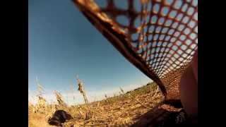 Hunting Guide Another Kill Field Goose Hunt by Elite Long Island Outfitter New York