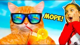 ЛЕТНИЙ НЕ ЗАСМЕЙСЯ ЧЕЛЛЕНДЖ с КОТАМИ! Попробуй не засмеяться Валеришка Тест на психику Реакции Залип