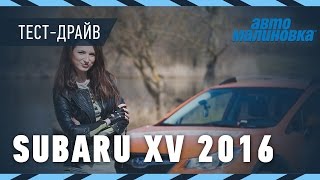 Subaru XV 2016 - обзор от Автомалиновки
