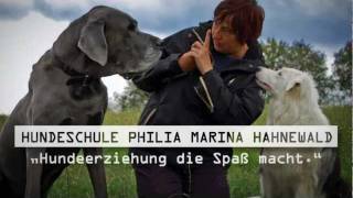 Hundeausbildung Hundetrainer Hundeführerschein Ilmenau Hundeschule Philia firmenclip.de