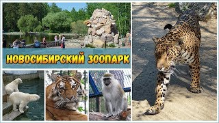 НОВОСИБИРСКИЙ ЗООПАРК ИМЕНИ Р.А. ШИЛО /  NOVOSIBIRSK ZOO named after R.A. SHILO