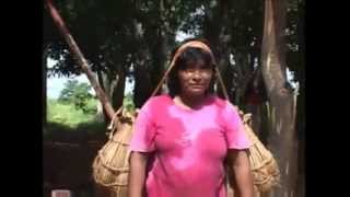 Alimento - Datsa - Produção Partilhada do Conhecimento