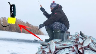 Зимняя рыбалка 2019-2020 - Плотва на сырный кубик - Безмотылка рулит!!