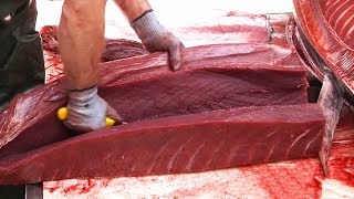 Испания Морепродукты - Разделка Голубого Тунца на 24 Различных Частей