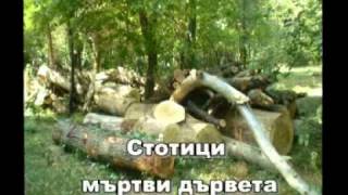 КАК ГО ПРАВИ ГЕРБ В ЯМБОЛ