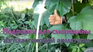 Подпорки для смородины из пластиковой арматуры