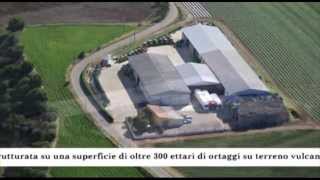Video Azienda Agricola Camilli Danilo