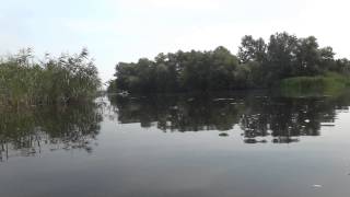 Днипро. Кировское - река Орель  дикий пляж в Обуховке возле гнезда Глухаря