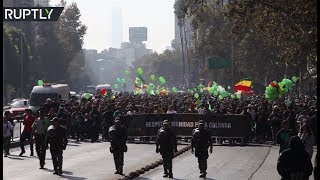 RAW: Protesters march for right to cultivate marijuana in Chile