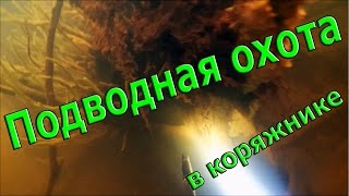 Подводная охота видео 2016.