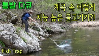통발 다큐-이녀석 통발 속 움직임을 보니 지능이 장난 아닙니다.