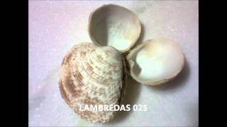 conchas do mar , 70 modelos