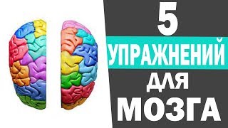 Развитие мозга ребенка. Развитие межполушарного взаимодействия