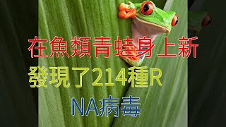 在魚類青蛙身上新發現了214種RNA病毒