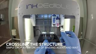 CELLINK INKREDIBLE 3D Bioprinting: Dual Print Heads