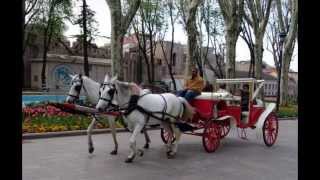 Hamlet Gevorgyan -- Gyumrva hin fayton