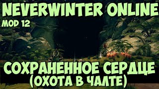 Сохраненное Сердце (Охота в Чалте) | Neverwinter Online | Mod 12