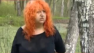 В Невский лесопарк сегодня пришла прокурорская про