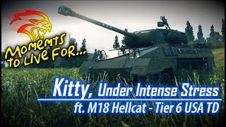 Kitty, Under Intense Stress - ft. M18 Hellcat || World of Tanks