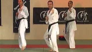 Technique de karaté