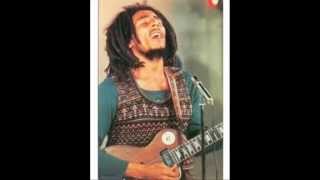 Jean-Luc Bougrainville - The Story goes on (Hommage à Bob Marley - Audio Officiel/Diaporama)