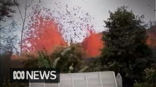 Hawaii resident goes home to find spewing lava in his backyard