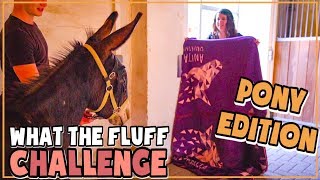 So lustig reagieren meine Pferde auf die What the fluff Challenge! PONY EDITION