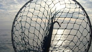 Finding the Best Depth for Catching Big Walleye in Minaki