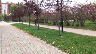 Мотовелосипед швинн корвет motorized shwinn corvette