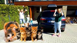 Наш новый дом ! Рум-тур ? Когда ? Теперь у Николь есть свой Френк , покупаем игрушки и вещи