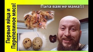Мои первые яйца | Съели перепелов | Рецепт | Папа вам не мама