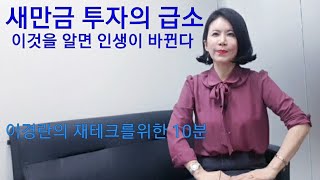 [새만금 투자의 급소(이것을 알면 인생이 바뀔수있다)](재테크,부동산,토지,새만금,부안,토지투자)