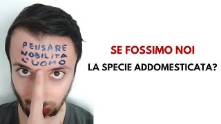 E SE FOSSIMO NOI LA SPECIE ADDOMESTICATA?