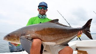 Caught the BIGGEST Cobia of my Life!!