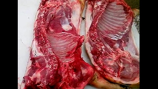 Вьетнамские свиньи.  Опаливание и разделка на полутушки. Vietnamese pigs. Singeing and evisceration.