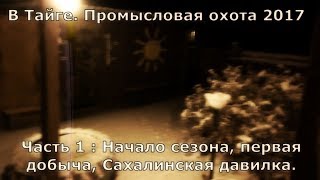 В Тайге. Промысел 2017. Часть 1. Начало сезона, первая добыча и сахалинская давилка.