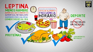 Como Bajar de Peso sin Esfuerzo / La Leptina y el Metabolismo Adelgazar y Quemar Calorías diverdocus