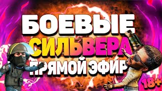 БОЕВЫЕ СИЛЬВЕРА! У меня 3 конкурса на скины! ПЕРВЫЙ ПРЯМОЙ ЭФИР!