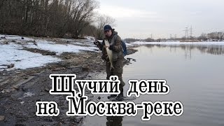 Рыбалка на Москва-реке. Щучий день. Ловля щуки на воблеры Pontoon 21.